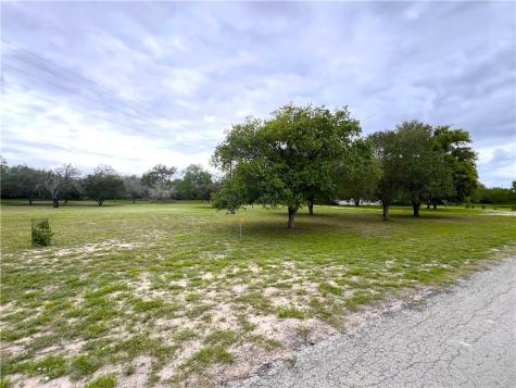 107 Lago Drive Sandia TX 78383