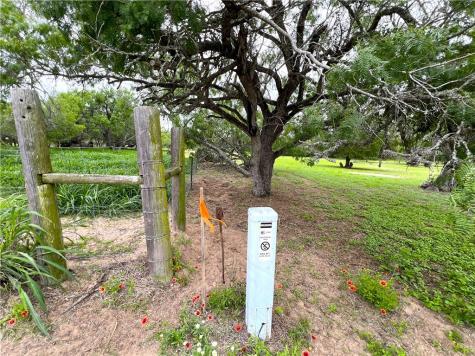 107 Lago Drive Sandia TX 78383