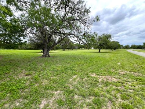 107 Lago Drive Sandia TX 78383