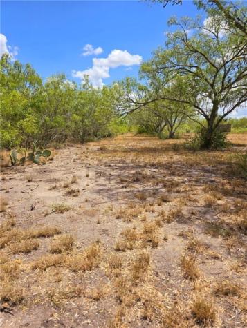 334 County Road 2391 Orange Grove TX 78372