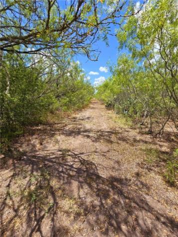 334 County Road 2391 Orange Grove TX 78372