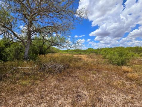 334 County Road 2391 Orange Grove TX 78372