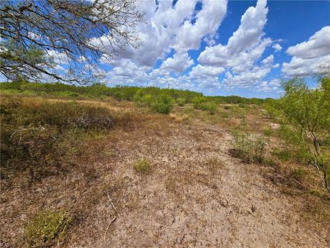 334 County Road 2391 Orange Grove TX 78372