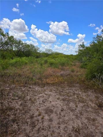 334 County Road 2391 Orange Grove TX 78372