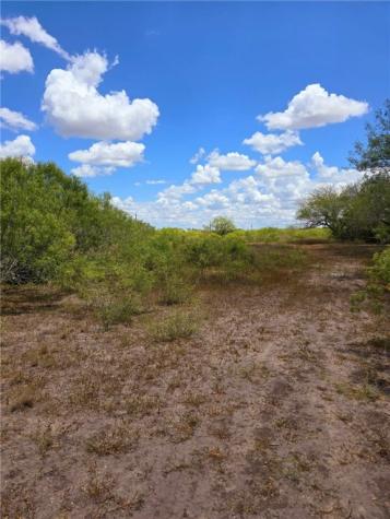 334 County Road 2391 Orange Grove TX 78372