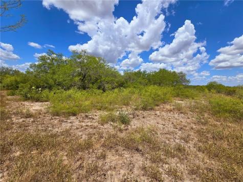 334 County Road 2391 Orange Grove TX 78372