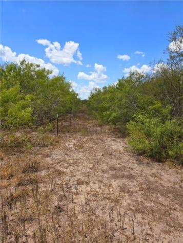 334 County Road 2391 Orange Grove TX 78372
