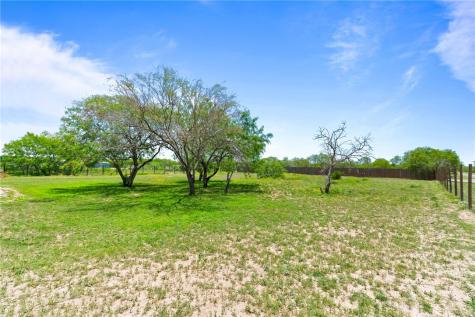 3249 County Road 308 Orange Grove TX 78372