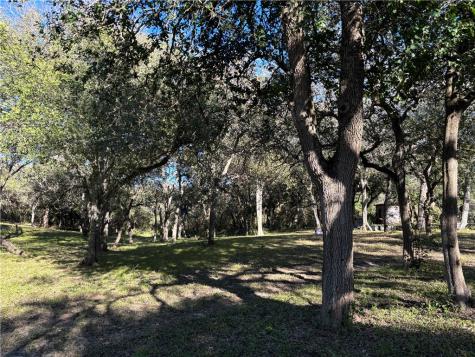 2168 River Oaks Skidmore TX 78389