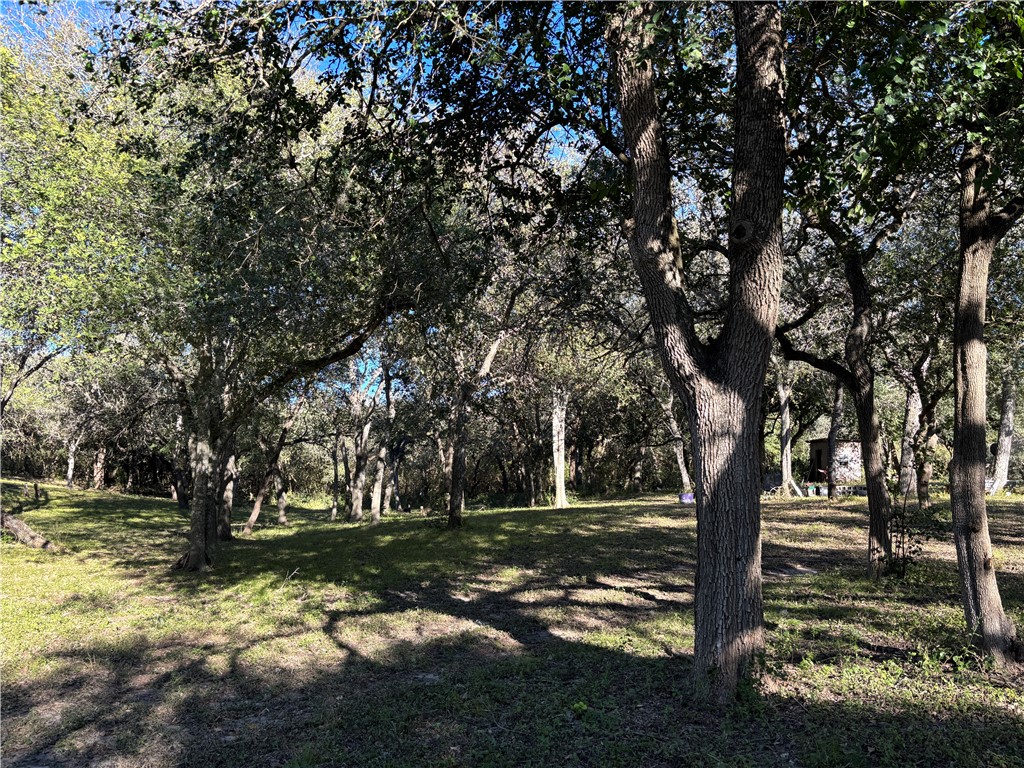 2168 River Oaks Skidmore TX 78389