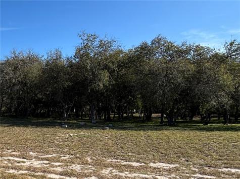 2168 River Oaks Skidmore TX 78389