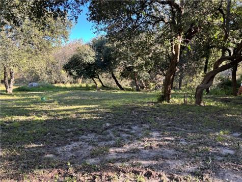 2168 River Oaks Skidmore TX 78389