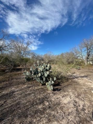 403 County Road 324 Alice TX 78332