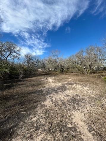 403 County Road 324 Alice TX 78332