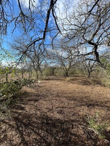 403 County Road 324 Alice TX 78332