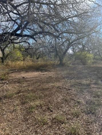 403 County Road 324 Alice TX 78332