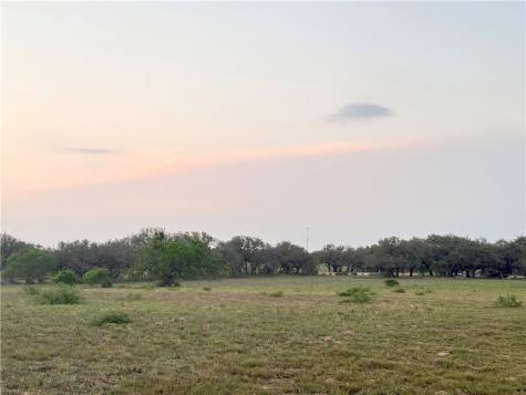 490 Hernandez Road Poteet TX 78065