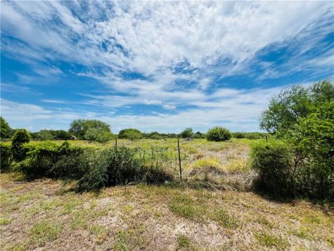 186 County Road 161 Alice TX 78332
