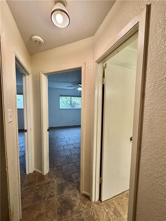 6624 Hardwick Drive Corpus Christi TX 78412