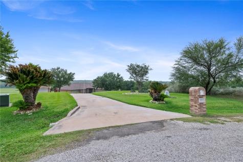 173 David Sandia TX 78383