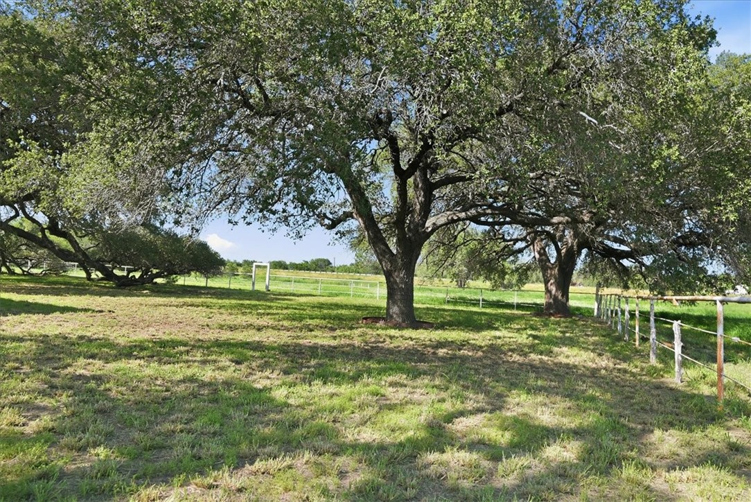 955 S Highway 37 George West TX 78022