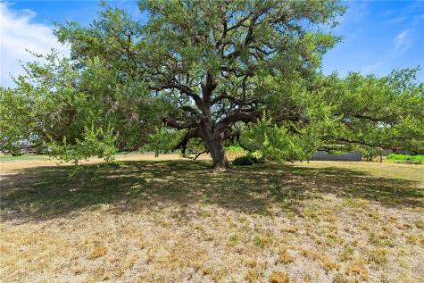 555 Silver Creek Sinton TX 78387