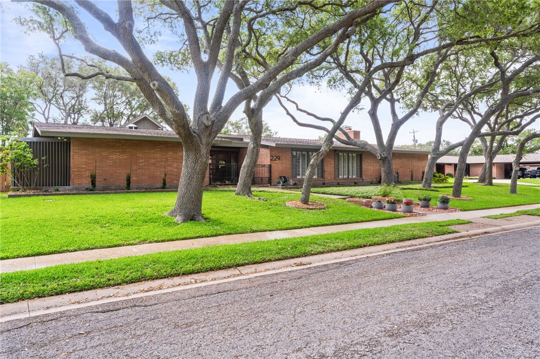 229 Bayshore Drive Corpus Christi TX 78412