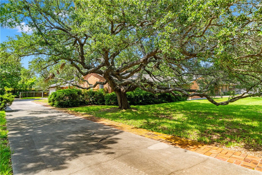 218 Mitchell Street Corpus Christi TX 78411
