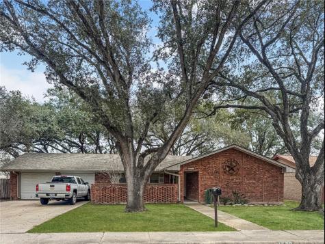 1600 Fairdale Street Alice TX 78332