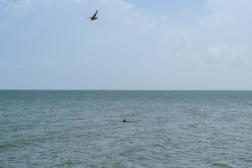 1840 Bay Shore Drive Rockport TX 78382