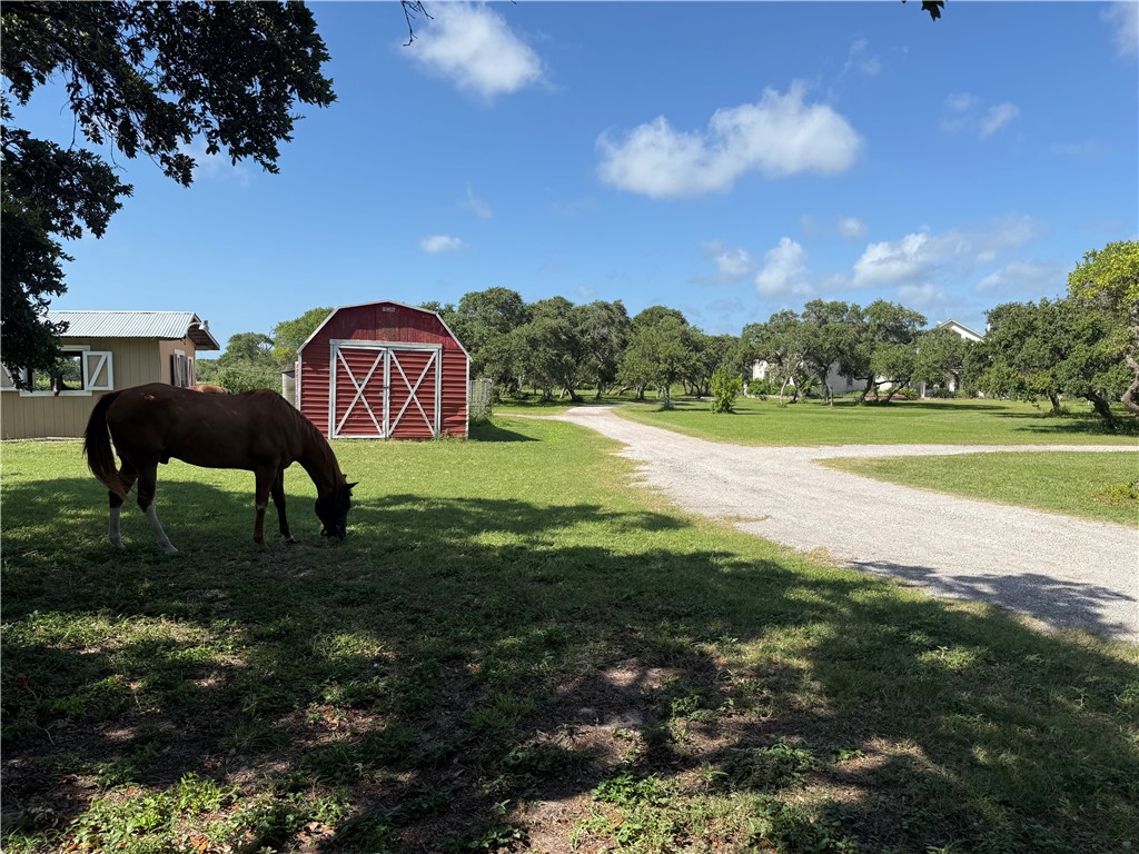 1845 Caribbean Drive Corpus Christi TX 78418
