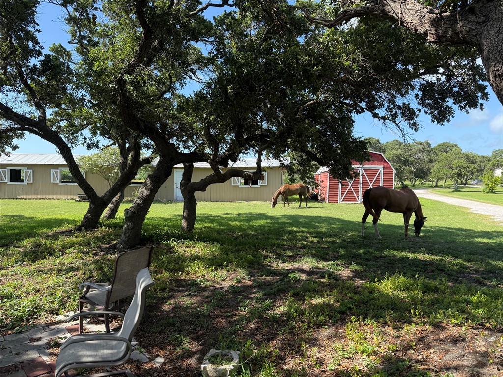 1845 Caribbean Drive Corpus Christi TX 78418