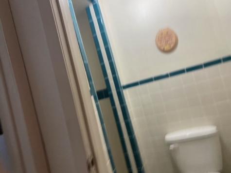 2088 W Fm 738 Orange Grove TX 78372