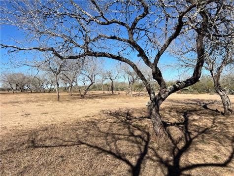 4493 W Highway 359 Benavides TX 78341
