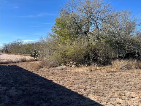 4493 W Highway 359 Benavides TX 78341