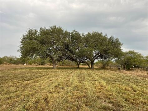 153 Boenig Road Woodsboro TX 78393