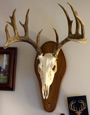 153 Boenig Road Woodsboro TX 78393