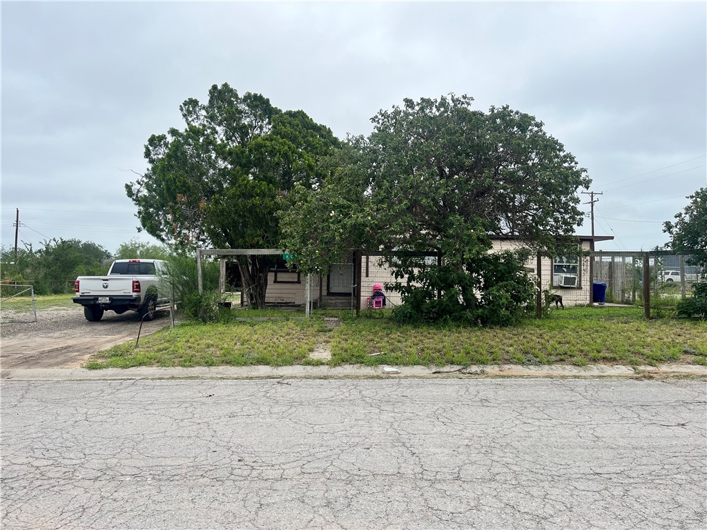 602 Richard Cruz Street Freer TX 78357