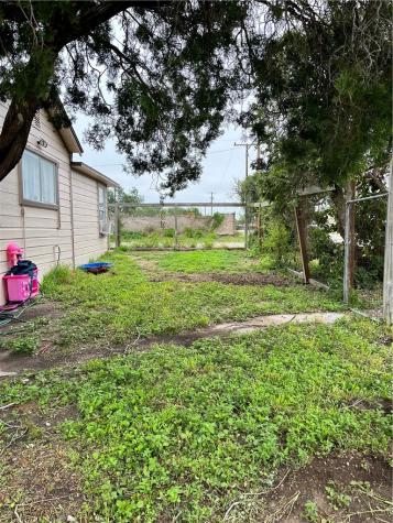 602 Richard Cruz Street Freer TX 78357