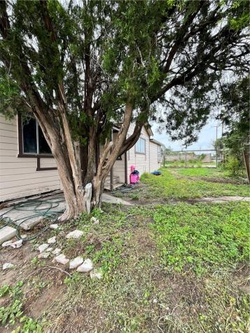 602 Richard Cruz Street Freer TX 78357