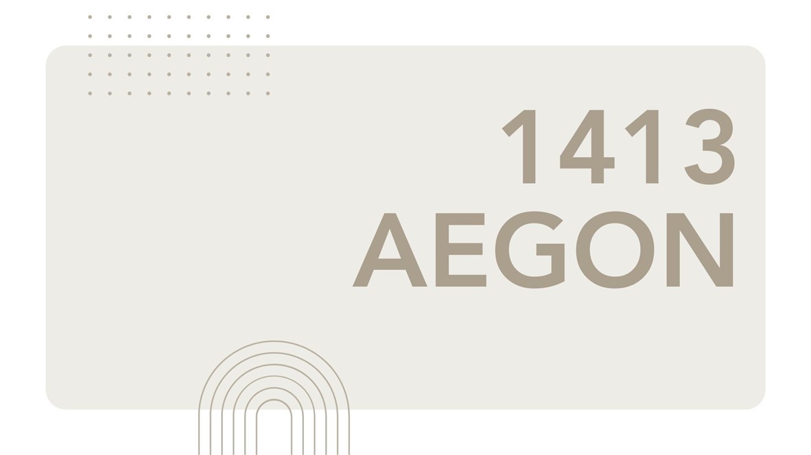 1413 Aegon Corpus Christi TX 78415