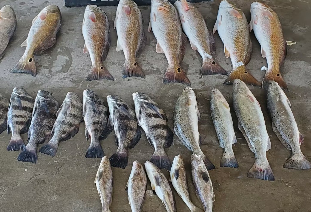 150 Ridge Harbor Drive Rockport TX 78382