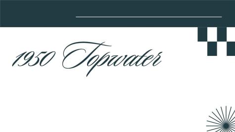 1950 Topwater Aransas Pass TX 78336