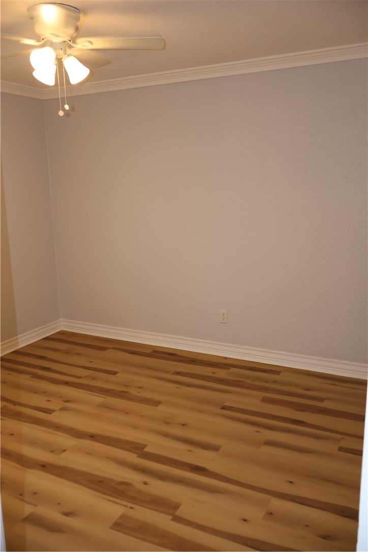 613 Francesca Street Corpus Christi TX 78405
