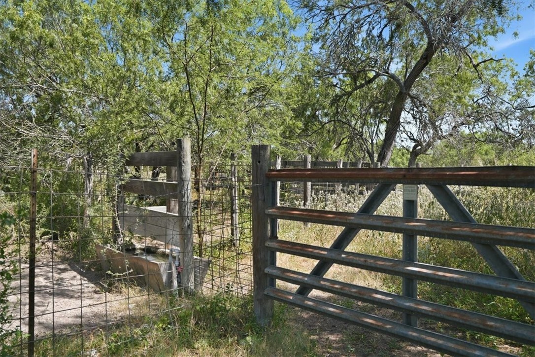171 County Road 325 George West TX 78022
