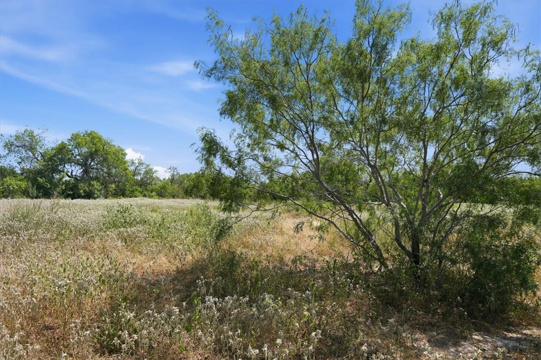 171 County Road 325 George West TX 78022