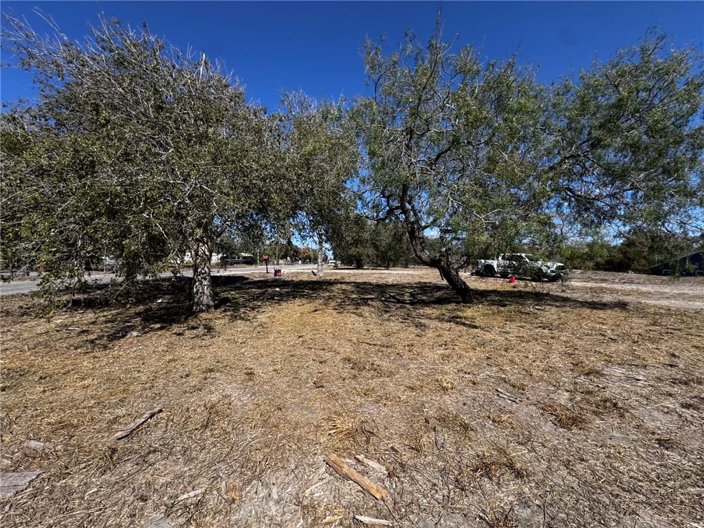 2500 Mccain Drive Corpus Christi TX 78410