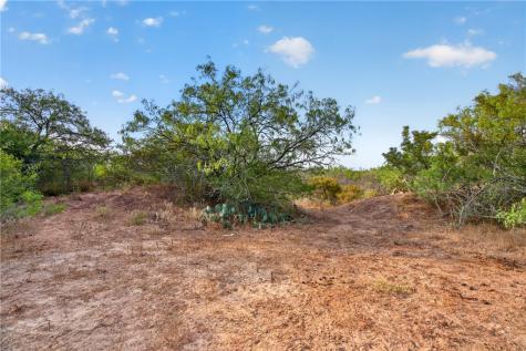 5781 County Road 308 Orange Grove TX 78372