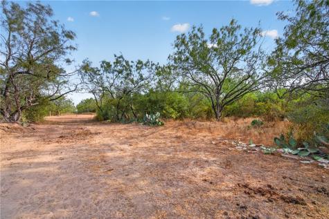 5781 County Road 308 Orange Grove TX 78372