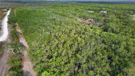 5781 County Road 308 Orange Grove TX 78372